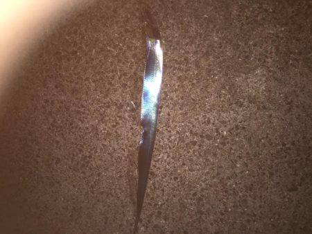 シーバス狙いが