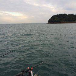 のませのはずが