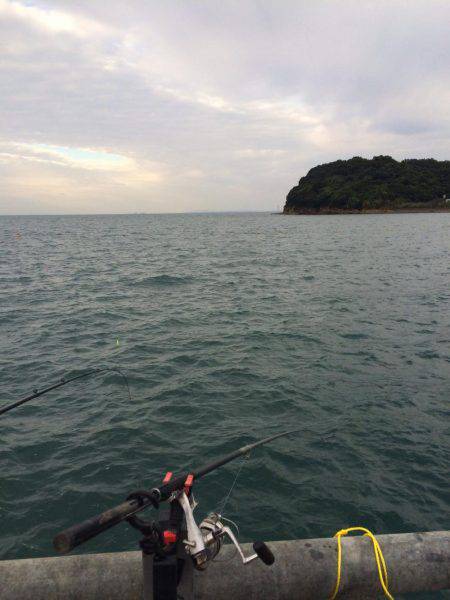 のませのはずが