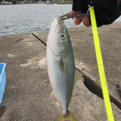 ルアルアゲット〜