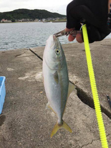 ルアルアゲット〜