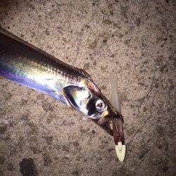 久しぶりでしたが