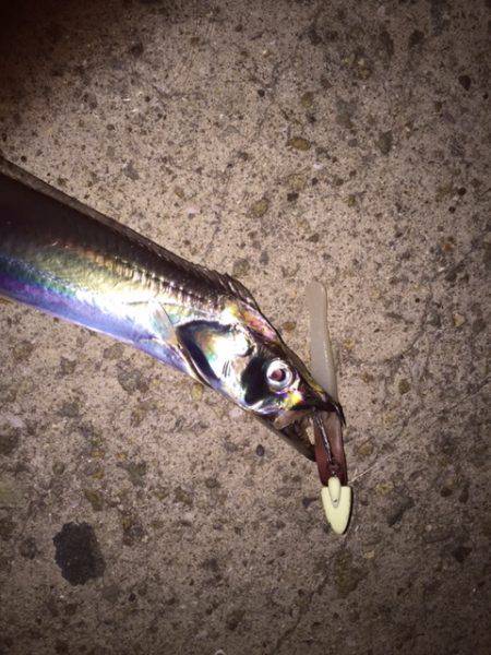 久しぶりでしたが