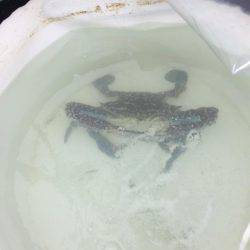 海は最悪のコンディション