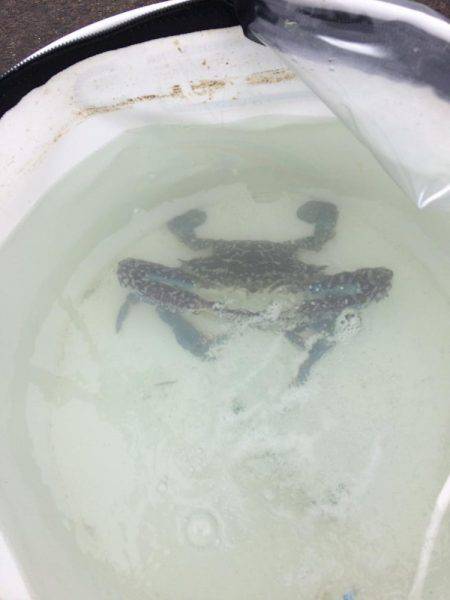 海は最悪のコンディション