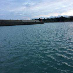 執念のコロッケサイズ