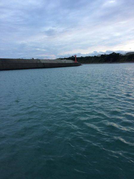 執念のコロッケサイズ