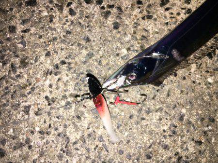 連夜の毎投アタリ