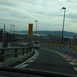 台風前に明石港にて生態調査