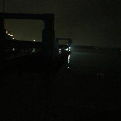 タチウオ入れ食い