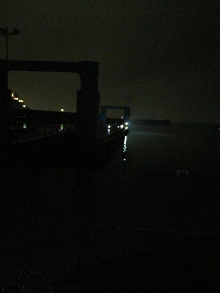 タチウオ入れ食い