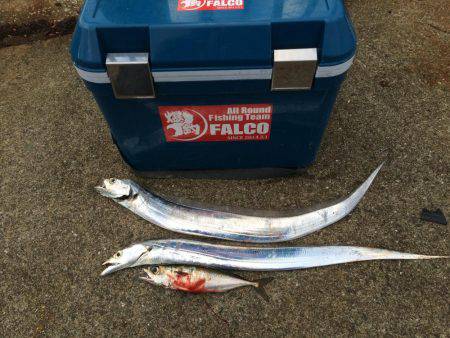 マイポイントで台風後調査