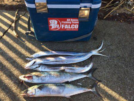 マイポイントで朝練