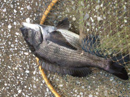 どうにか釣れた！