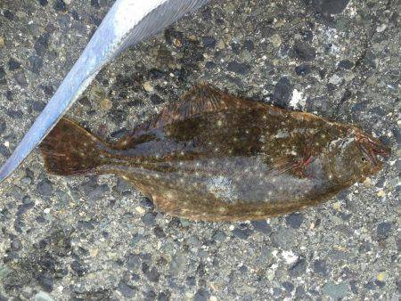 南港でまさかの