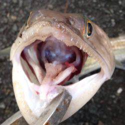 ボウズだけは勘弁してもらえた