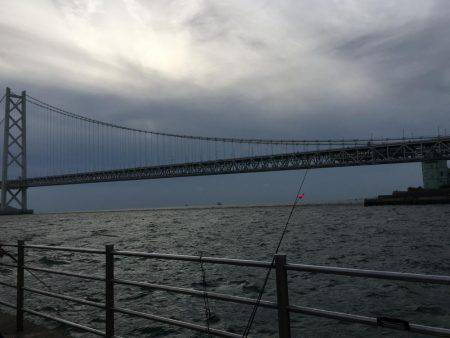 サビキシーズン