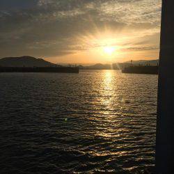 タチウオ渋いけど足元で釣れる