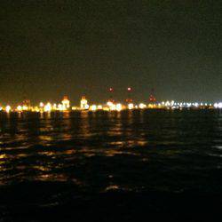 コスモスクエアで太刀魚