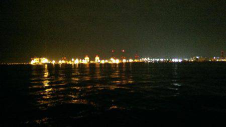 コスモスクエアで太刀魚