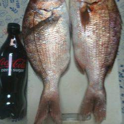 豪雨の海上釣り堀、大人の金魚すくい