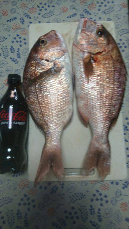 豪雨の海上釣り堀、大人の金魚すくい