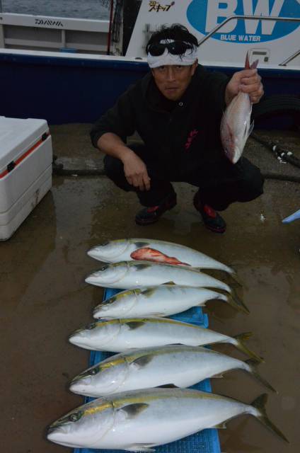 ジギング船 BLUEWATER 釣果