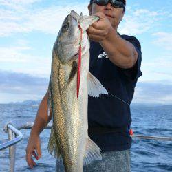 ジギング船 BLUEWATER 釣果