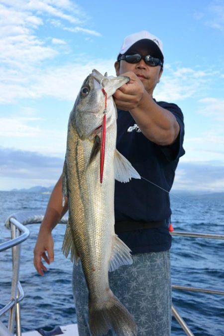 ジギング船 BLUEWATER 釣果