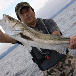 ジギング船 BLUEWATER 釣果