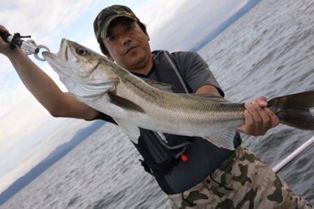 ジギング船 BLUEWATER 釣果