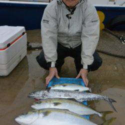 ジギング船 BLUEWATER 釣果