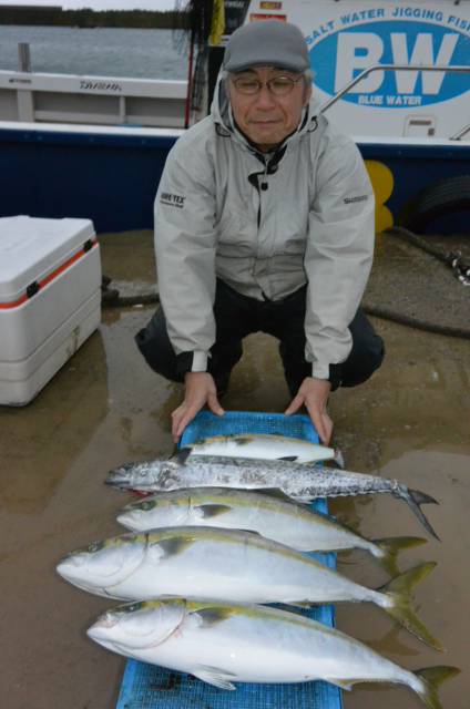 ジギング船 BLUEWATER 釣果