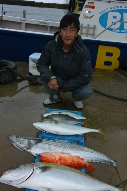 ジギング船 BLUEWATER 釣果