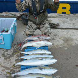 ジギング船 BLUEWATER 釣果