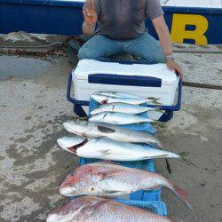 ジギング船 BLUEWATER 釣果