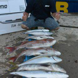 ジギング船 BLUEWATER 釣果