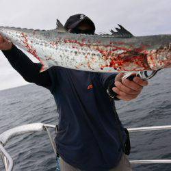 ジギング船 BLUEWATER 釣果