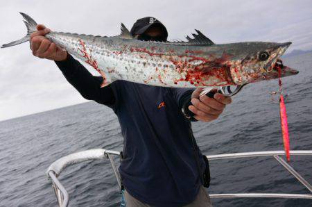 ジギング船 BLUEWATER 釣果