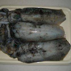 エギング桃源郷