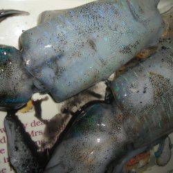 テトラポット。