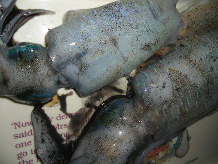 テトラポット。