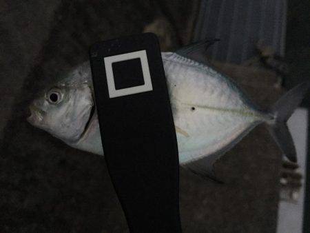 下津周辺を散策に！