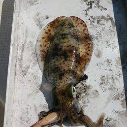 秋の長雨の合間に・・・