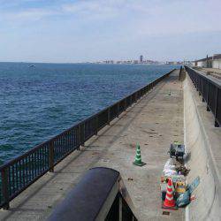 かまぼこオンリー