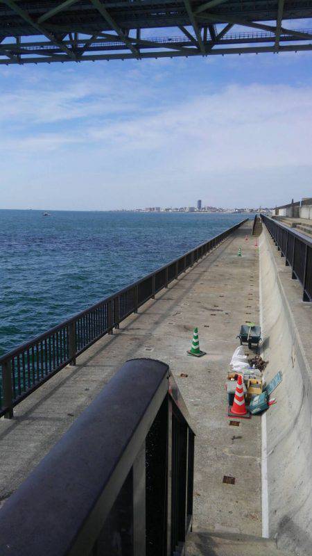 かまぼこオンリー