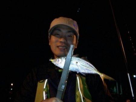 アジングは楽しい！