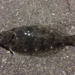 風が強すぎて‼