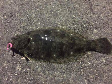 風が強すぎて‼