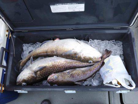 クーラー満タン